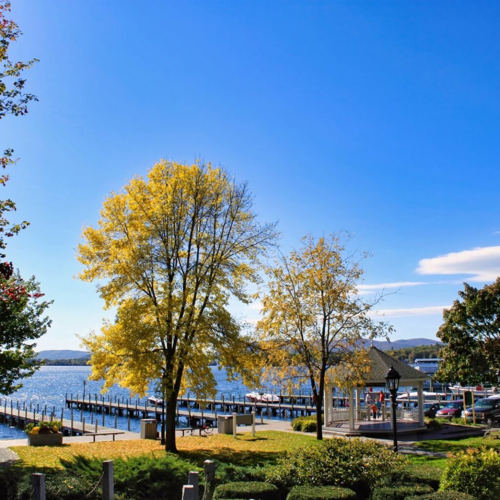 Wolfeboro Cate Park