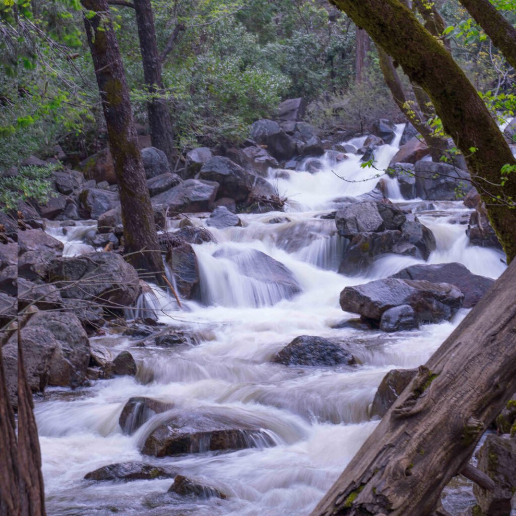 Mountain Stream