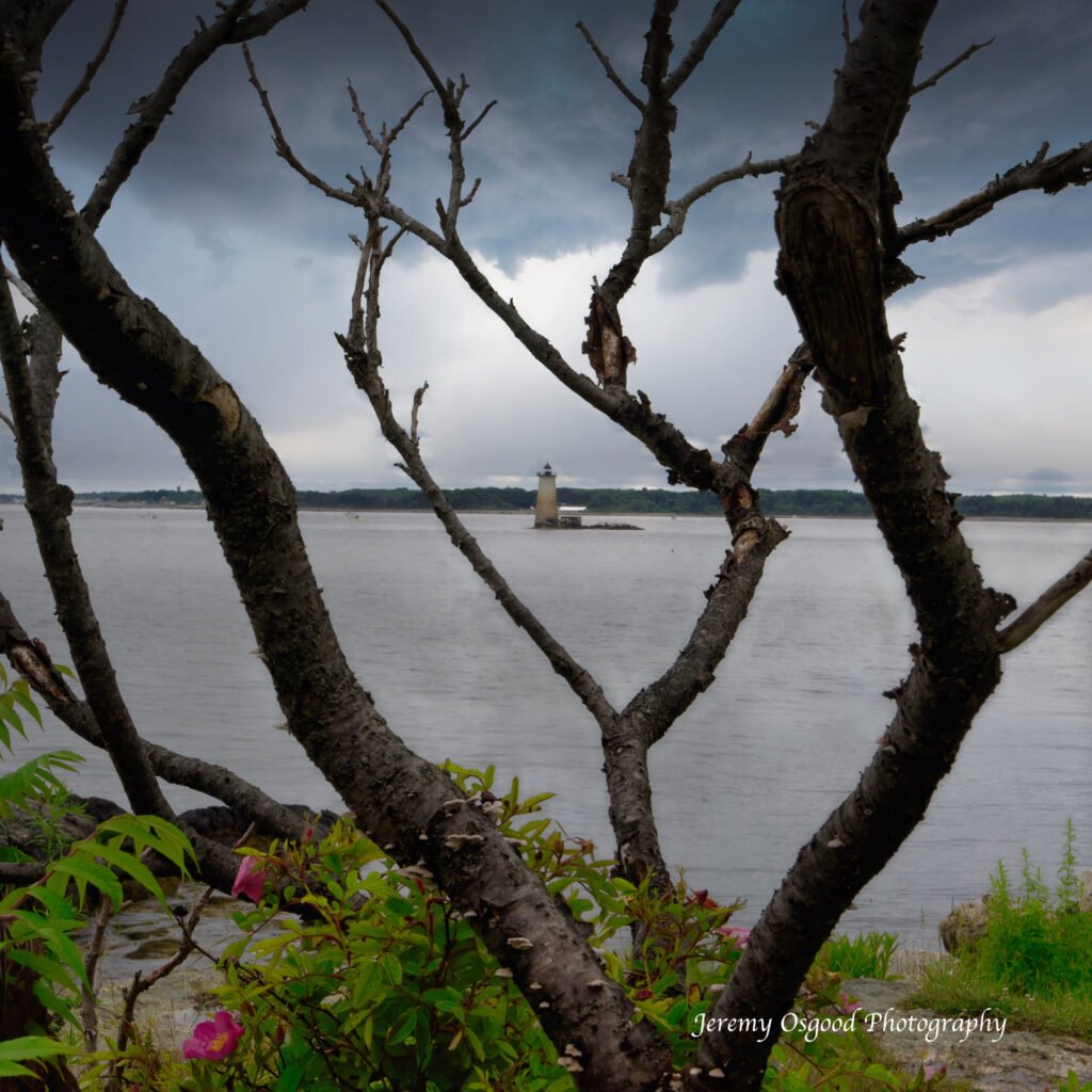 stormy fort foster